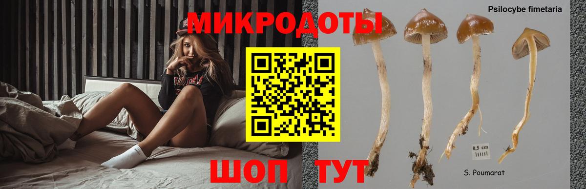 Галлюциногенные грибы мухоморы Туймазы